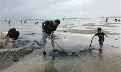 北海红树林赶海攻略_北海红树林赶海攻略时间段